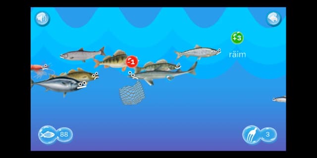 kalafoor web image 4